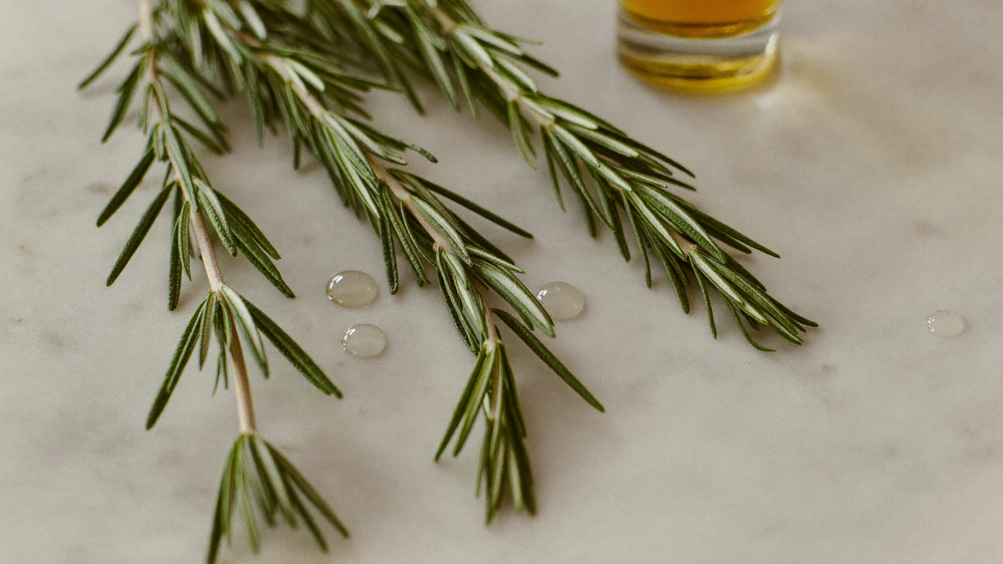 Fresh rosemary sprigs with glistening drops of oil on marble