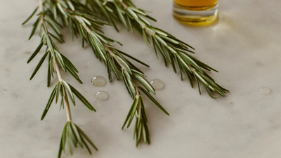 Fresh rosemary sprigs with glistening drops of oil on marble